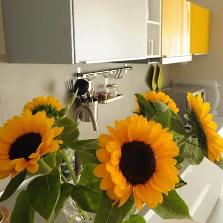 Saint Peter's House * Roma